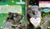Super-Cute Animals