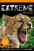 Animal Nonfiction Reader Pack