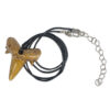 The Book of Sharks with Shark-Tooth Necklace