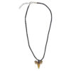 The Book of Sharks with Shark-Tooth Necklace