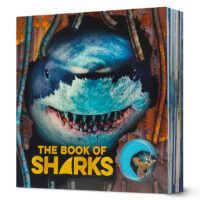 The Book of Sharks with Shark-Tooth Necklace