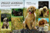 World's Cutest Dogs & Puppies in 3D
