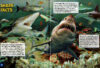 Sharks in Eye-Popping 3D! Book with 3D Glasses