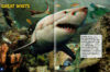 Sharks in Eye-Popping 3D! Book with 3D Glasses