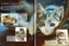 World’s Cutest Cats & Kittens