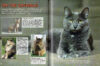 World’s Cutest Cats & Kittens