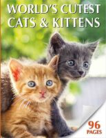 World’s Cutest Cats & Kittens
