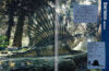 Dinosaurs and Other Prehistoric Creatures