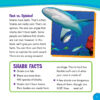 The Sharkies: Amazing Animal Awards!