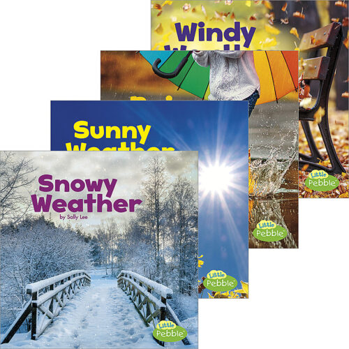 Sunny Weather: A 4D Book: Lee, Sally: 9781977101921: Books 