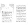 Newbery Mysteries Pack