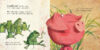 Spring Fun Picture Book Collection