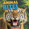 Bites Pack