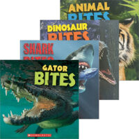 Bites Pack