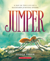 Jumper