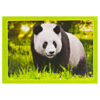 Adopt a Panda Kit
