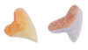 Bite Into Sharks! with Replica Teeth