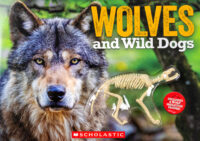 Wolves and Wild Dogs with Wolf Skeleton Model