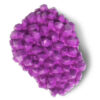 Hidden Geodes Dig and Discover Kit
