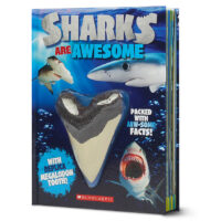 Sharks Are Awesome with Megalodon Tooth