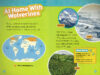 National Geographic Kids™ Wild Predators Savings Pack (Early Readers)