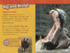 National Geographic Kids™ Wild Predators Savings Pack (Early Readers)
