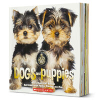 Dogs and Puppies with Necklace