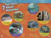 National Geographic Kids™ Wild Animals Collection (Early Readers)