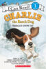Snow Much Fun Pack (Early Readers)
