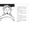 Flat Stanley Chapter Book Pack