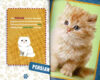 Flip Magic: Puppies or Kittens?