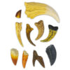 Ultimate Dinosaur Collection with Replica Teeth and Claws
