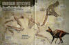 Ultimate Dinosaur Collection with Replica Teeth and Claws