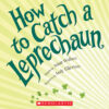 Leprechaun Picture Book Pack