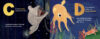 A Is for Axolotl: An Unusual Animal ABC