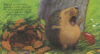 Fall Picture Book Pack