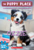 The Puppy Place Value Pack