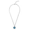 The Dodo: Wallace&rsquo;s Story Plus Necklace