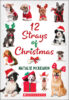 12 Strays of Christmas Plus Necklace