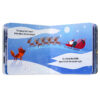Christmas Characters Board Book Pack