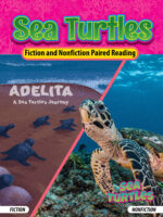 Sea Turtles