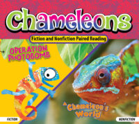 Chameleons