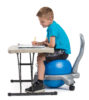 Balance Ball Chair