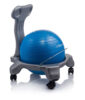 Balance Ball Chair
