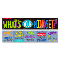 What’s Your Mindset Double-Sided Banner