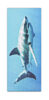 Primary Grade Paper Bookmarks Pack