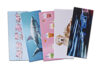 Primary Grade Paper Bookmarks Pack