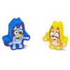 Bluey Diary