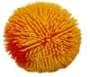 Spiky Squish Balls