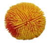 Spiky Squish Balls Pack